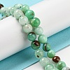 Natural Chrysoprase Beads Strands G-P503-8MM-03-2