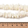 Natural White Mother of Pearl Shell Chip Bead Strands X-G-M205-63-6