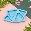 DIY Watermelon Straw Topper Silicone Molds Kits DIY-OC0003-19-6