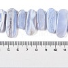 Natural Blue Lace Agate Beads Strands G-H006-B01-02-4