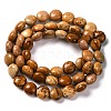 Natural Picture Jasper Beads Strands G-T047-A22-01-3