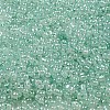 Ceylon Glass Seed Beads SEED-K009-02B-26-3