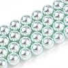 Glass Pearl Beads Strands HY-G002-01E-12-1