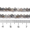 Natural Labradorite Beads Strands G-G188-B11-02-5