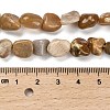 Natural Fossil Coral Beads Strands G-P497-01E-36-5