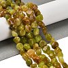 Natural Yellow Green Opal Beads Strands G-P497-01E-34A-2