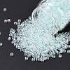 TOHO 6/0 Round Beads X-SEED-TR06-0170-1