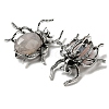 Dual-use Items Alloy Spider Brooch JEWB-C026-03H-AS-2