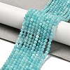 Natural Amazonite Beads Strands G-Z074-B01-1