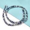 Natural Blue Spot Jasper Beads Strands G-G085-B41-02-2