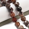 Natural Petrified Wood Beads Strands G-C150-B01-02-1