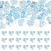 30Pcs Transparent Glass Beads GLAA-TADJ0001-02F-1