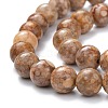 Natural Maifanite/Maifan Stone Beads Strands X-G-P451-01A-C-3