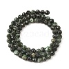 Natural Seraphinite Beads Strands G-K376-A02-5mm-3