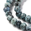 Natural Sesame Jasper Beads Strands G-K380-A18-01-4