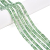 Natural Green Strawberry Quartz Beads Strands G-N342-72-2