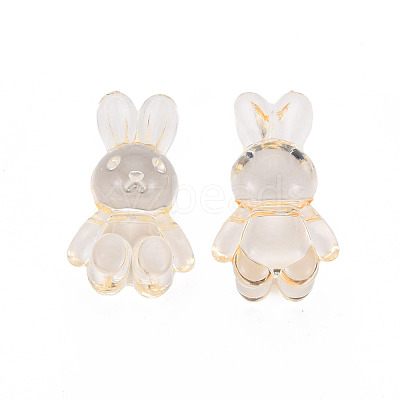 Transparent Acrylic Beads MACR-S373-81-B04-1