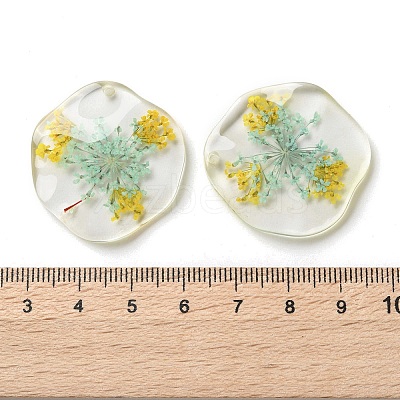 Inner Dried Flower Transparent Resin Pendants RESI-A043-04C-1