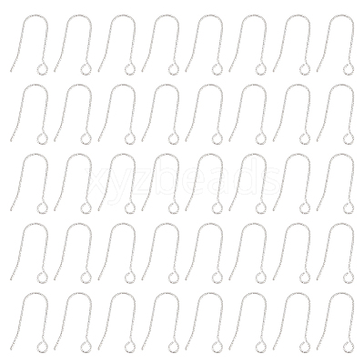 100Pcs 316 Stainless Steel Earring Hooks STAS-UN0041-94-1