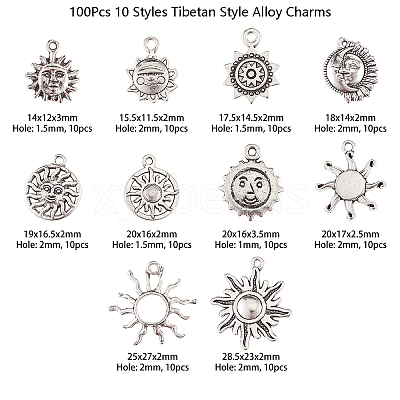 100Pcs 10 Styles Tibetan Style Alloy Charms TIBEP-CJ0001-59-1