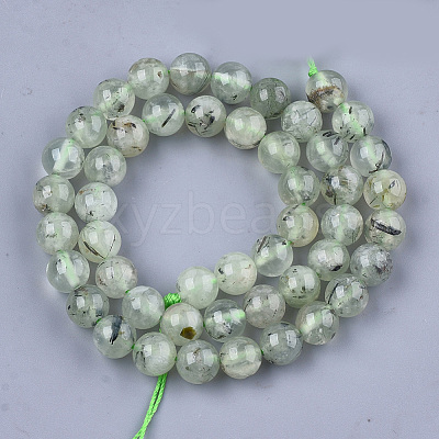 Natural Prehnite Beads Strands G-S333-8mm-032-1