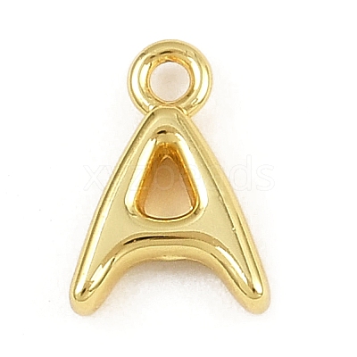 Stainless Steel Charms KK-I352-02G-1-1
