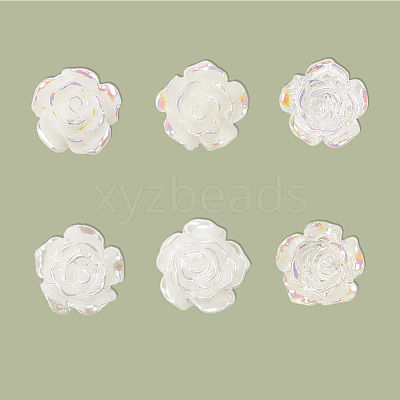 12 Pairs 6 Styles Resin Stud Earrings EJEW-SP0001-14-1