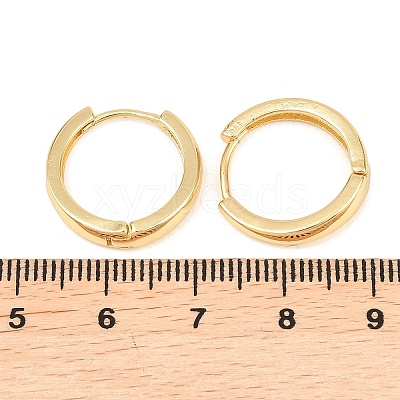 Brass Hoop Earrings EJEW-A156-09B-G-1