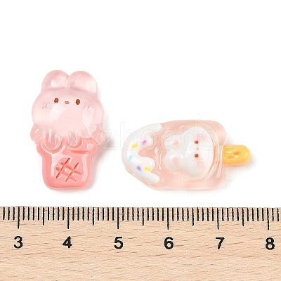 Transparent Rabbit Resin Cabochons X-CRES-D283-02-1