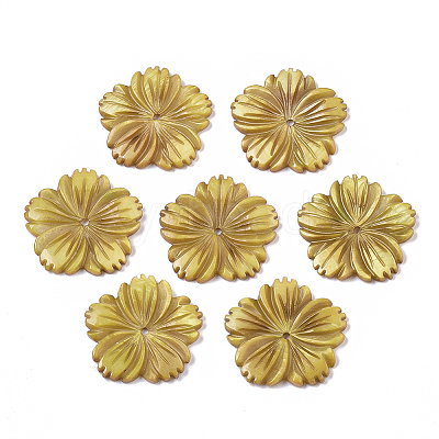 Natural Freshwater Shell Beads X-SHEL-N026-10-1