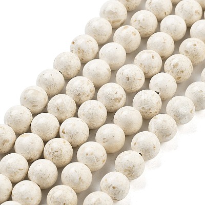 Natural Fossil Beads Strands G-H026-02B-1