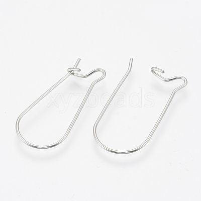 Tarnish Resistant 304 Stainless Steel Hoop Earrings STAS-T031-01-1