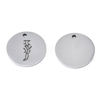 Non-Tarnish 304 Stainless Steel Charms LS-STAS-T059-26P-J-1