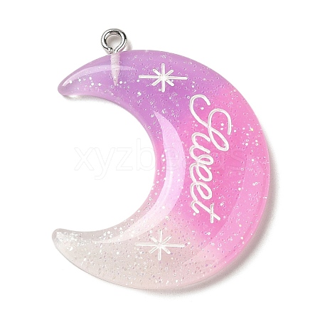 Gradient Color Translucent Resin Pendants FIND-Z006-03E-1