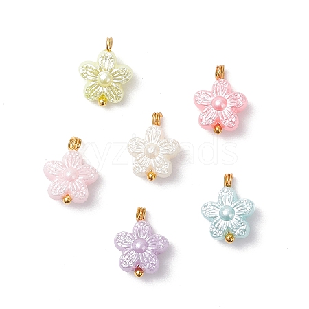 Opaque Acrylic Pendants PALLOY-JF04333-02-1