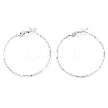 Non-Tarnish 304 Stainless Steel Hoop Earrings STAS-K288-01P-1