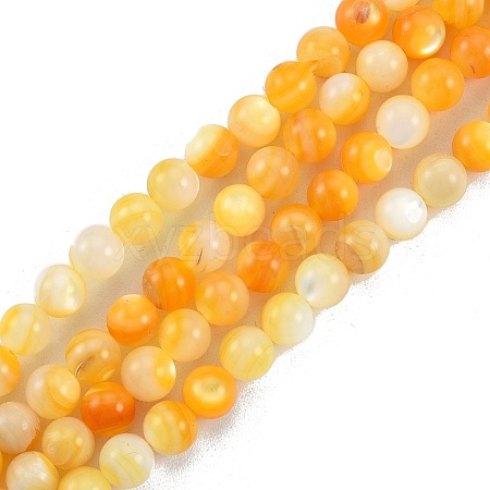 Natural Golden Yellow Shell Beads Strands SSHEL-G024-01A-1