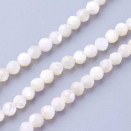 Natural Shell Beads Strands X-G-F619-27-3mm-1