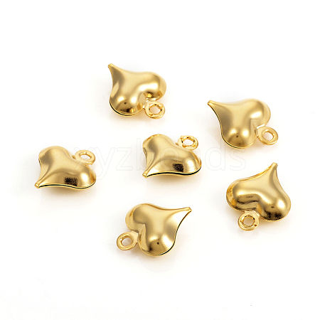 304 Stainless Steel Charms STAS-I149-05A-G-1