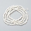 Natural Spiral Shell Beads Strands BSHE-I011-11C-2
