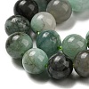 Natural Emerald Quartz Beads Strands G-A219-A02-02-3