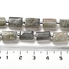 Natural Labradorite Beads Strands G-N327-06-06-5