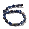 Natural Sodalite Beads Strands G-P520-B23-01-3