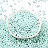 6/0 Glass Seed Beads SEED-L011-08A-14-2