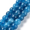 Dyed Natural Malaysia Jade Beads Strands G-G021-02B-10-2