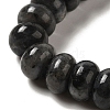 Natural Larvikite Beads Strands G-G102-C03-01-4