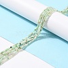 Natural Chrysoprase Beads Strands G-K315-A05-2