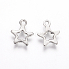 201 Stainless Steel Charms STAS-F039-51-P-2