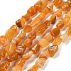 Natural Gemstone Beads Strands G-P497-01E-14-1