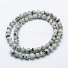 Natural Sesame Jasper/Kiwi Jasper Beads Strands G-I199-29-6mm-2